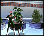 screenshot_0512-15-23-40-24.jpg