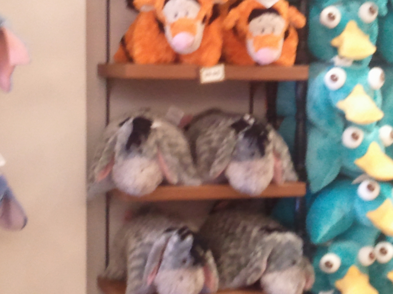 2013-06-13 09.27.15.jpg